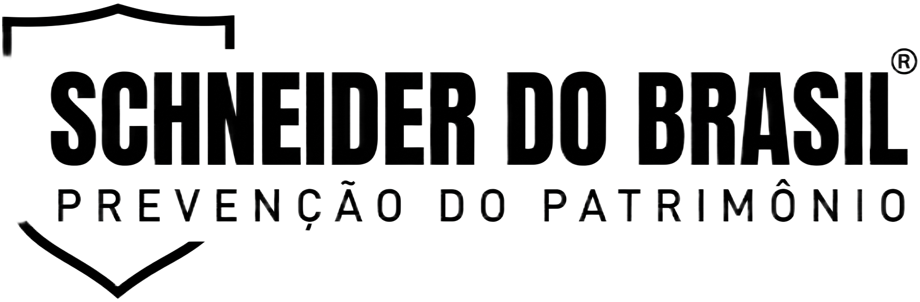 Schneider do Brasil